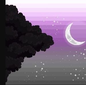 Meet your Posher, Alisha